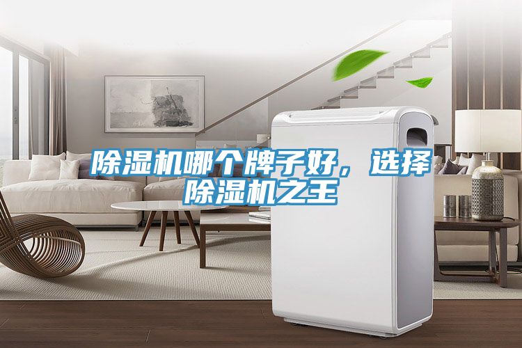 除濕機哪個牌子好，選擇除濕機之王