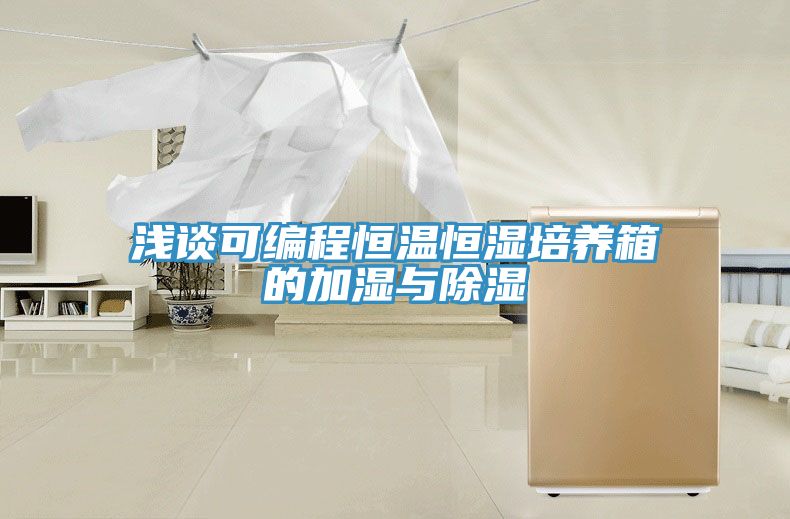淺談可編程恒溫恒濕培養箱的加濕與除濕