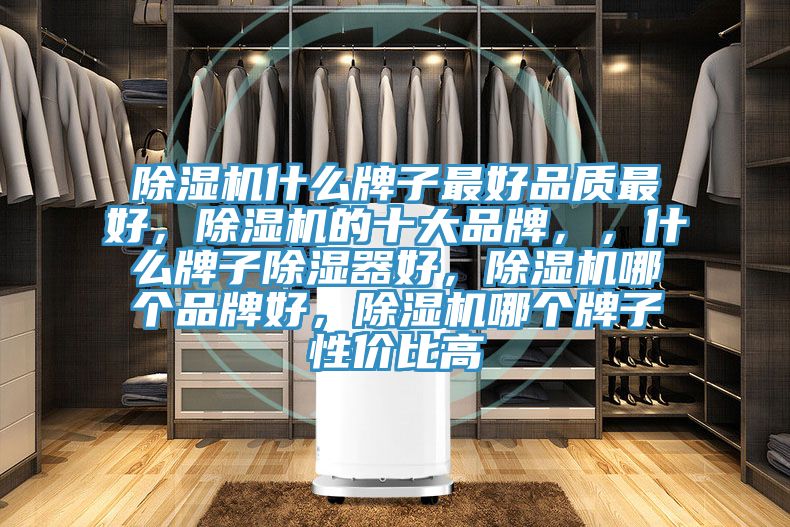 除濕機什么牌子最好品質最好，除濕機的十大品牌，，什么牌子除濕器好，除濕機哪個品牌好，除濕機哪個牌子性價比高