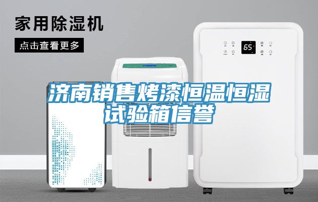 濟(jì)南銷售烤漆恒溫恒濕試驗箱信譽