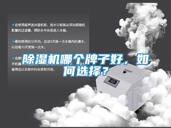 除濕機哪個牌子好，如何選擇？