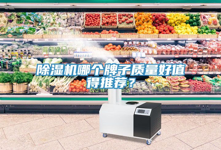除濕機哪個牌子質(zhì)量好值得推薦？