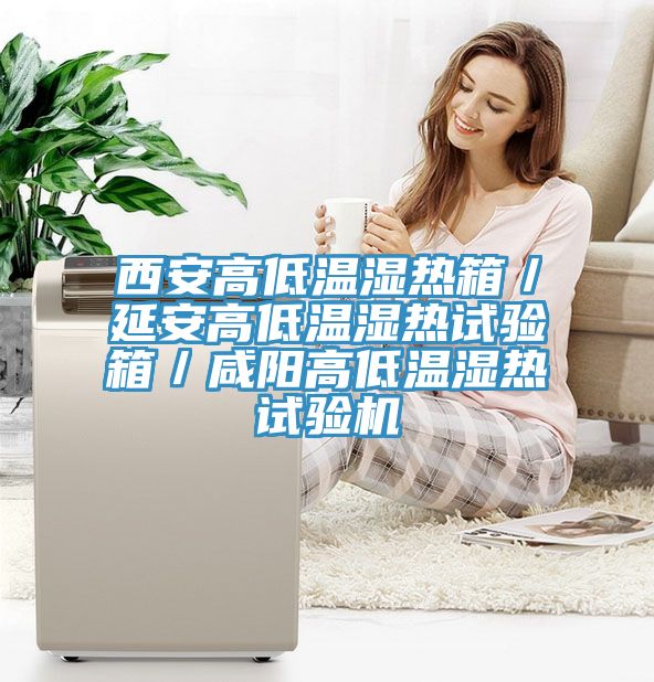 西安高低溫濕熱箱／延安高低溫濕熱試驗箱／咸陽高低溫濕熱試驗機