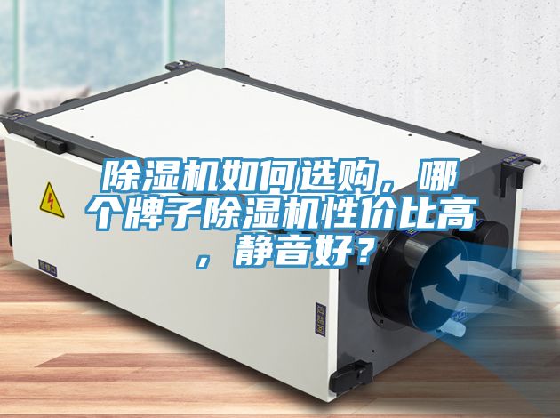 除濕機(jī)如何選購(gòu)，哪個(gè)牌子除濕機(jī)性價(jià)比高，靜音好？