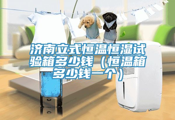 濟(jì)南立式恒溫恒濕試驗箱多少錢（恒溫箱多少錢一個）