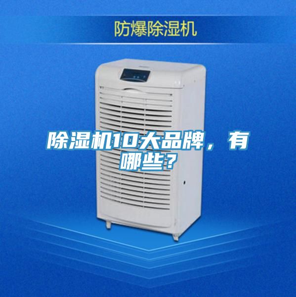 除濕機10大品牌，有哪些？
