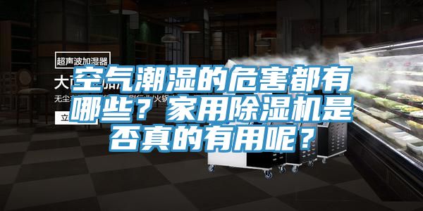 空氣潮濕的危害都有哪些？家用除濕機是否真的有用呢？