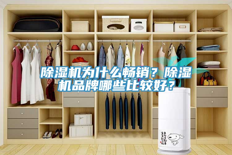 除濕機為什么暢銷？除濕機品牌哪些比較好？