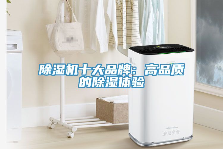 除濕機十大品牌:高品質的除濕體驗