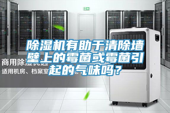 除濕機有助于清除墻壁上的霉菌或霉菌引起的氣味嗎？