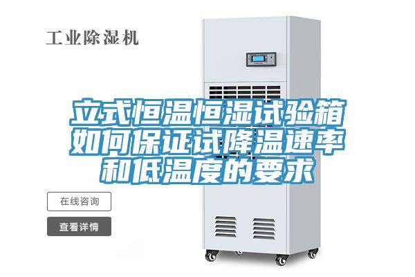立式恒溫恒濕試驗箱如何保證試降溫速率和低溫度的要求