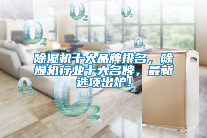 除濕機十大品牌排名，除濕機行業十大名牌，最新選項出爐！