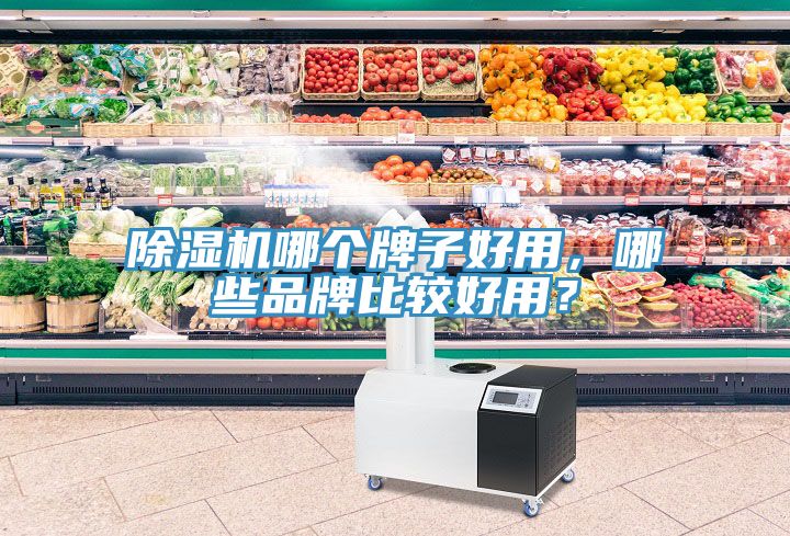 除濕機(jī)哪個(gè)牌子好用，哪些品牌比較好用？