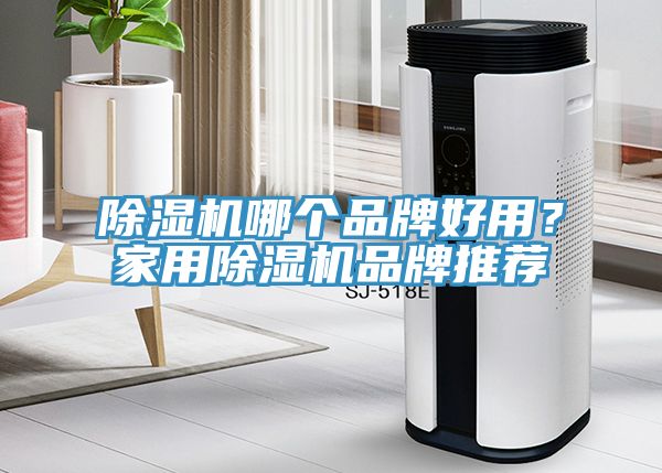 除濕機哪個品牌好用？家用除濕機品牌推薦