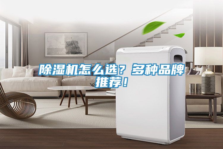 除濕機怎么選？多種品牌推薦！