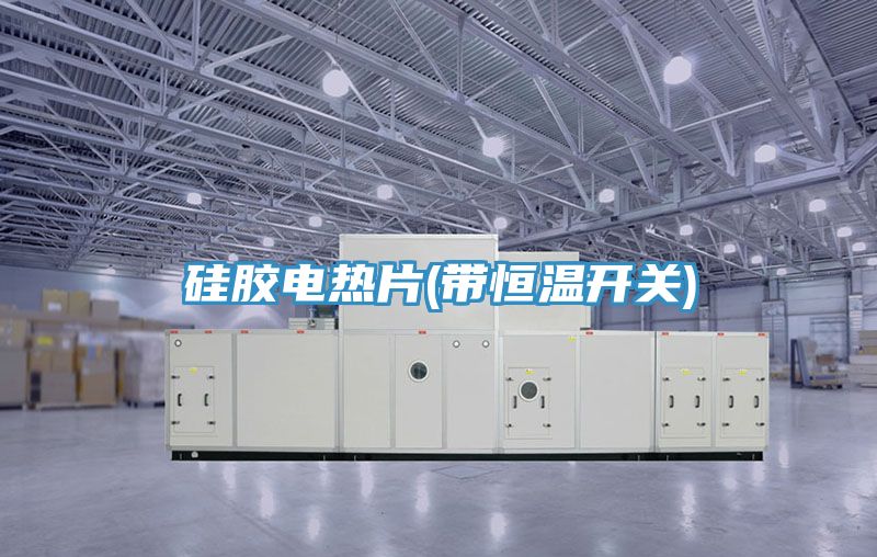 硅膠電熱片(帶恒溫開關)