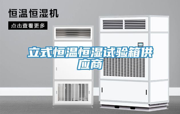 立式恒溫恒濕試驗箱供應商