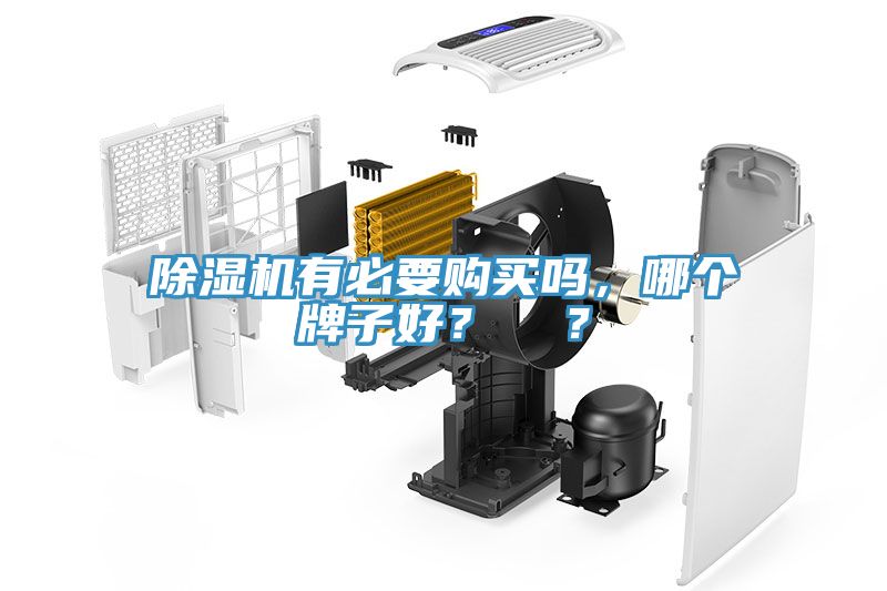 除濕機有必要購買嗎，哪個牌子好？  ？