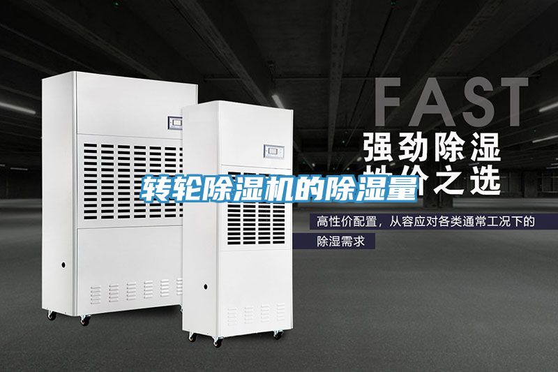 轉(zhuǎn)輪除濕機的除濕量