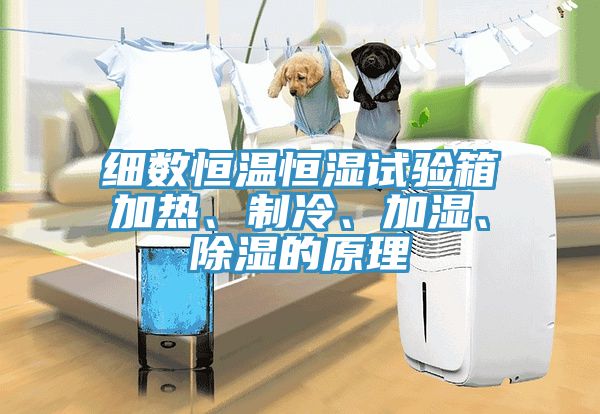 細數(shù)恒溫恒濕試驗箱加熱、制冷、加濕、除濕的原理