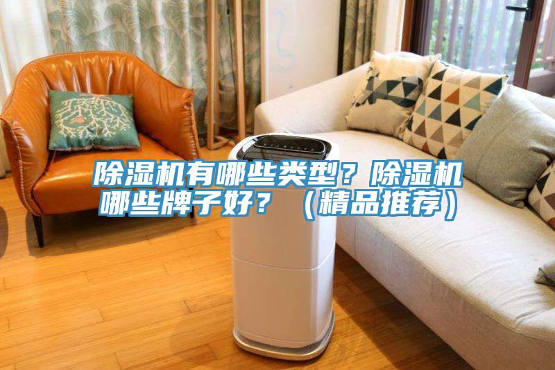 除濕機有哪些類型？除濕機哪些牌子好？（精品推薦）
