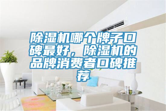 除濕機哪個牌子口碑最好，除濕機的品牌消費者口碑推薦