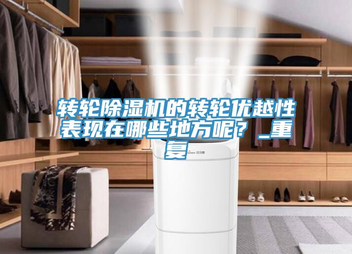 轉輪除濕機的轉輪優越性表現在哪些地方呢？_重復