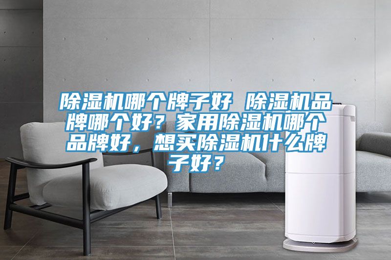 除濕機(jī)哪個(gè)牌子好 除濕機(jī)品牌哪個(gè)好？家用除濕機(jī)哪個(gè)品牌好，想買(mǎi)除濕機(jī)什么牌子好？