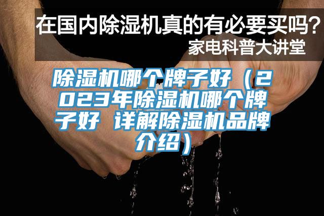 除濕機哪個牌子好(2023年除濕機哪個牌子好 詳解除濕機品牌介紹)