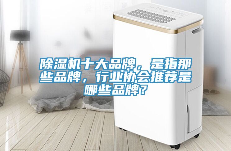 除濕機十大品牌,是指那些品牌,行業協會推薦是哪些品牌?
