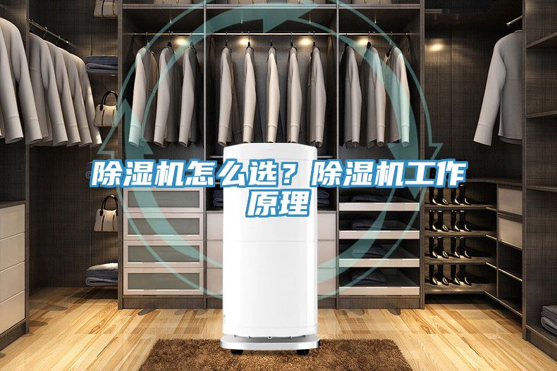 除濕機怎么選？除濕機工作原理