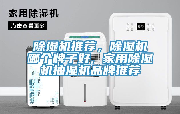 除濕機推薦，除濕機哪個牌子好, 家用除濕機抽濕機品牌推薦