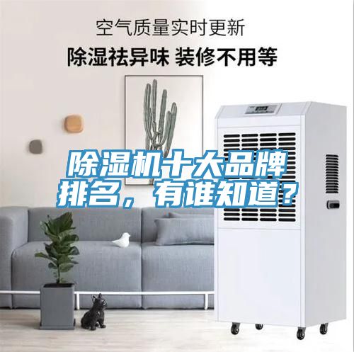 除濕機十大品牌排名，有誰知道？