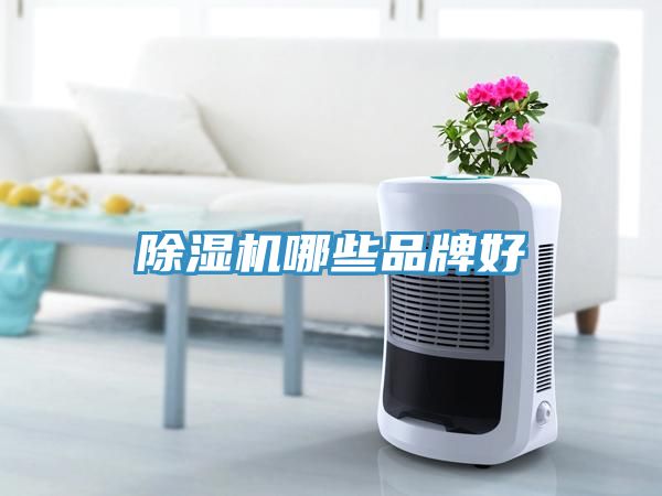 除濕機哪些品牌好