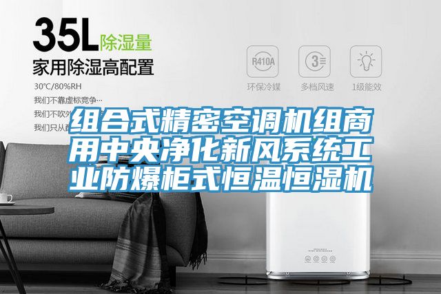 組合式精密空調(diào)機組商用中央凈化新風系統(tǒng)工業(yè)防爆柜式恒溫恒濕機