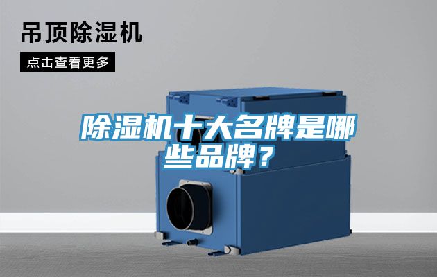 除濕機(jī)十大名牌是哪些品牌？