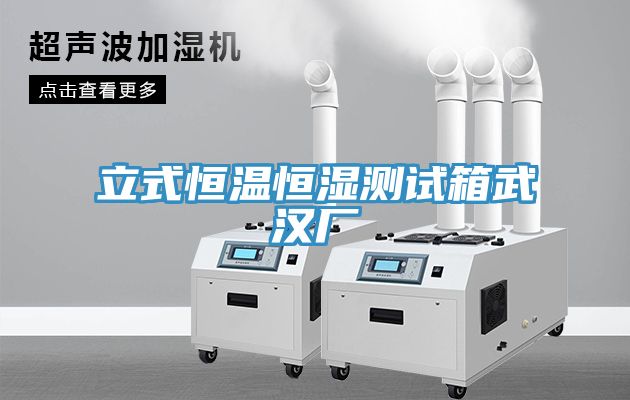 立式恒溫恒濕測試箱武漢廠