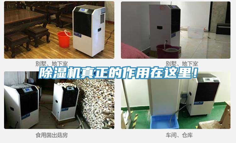 除濕機(jī)真正的作用在這里！