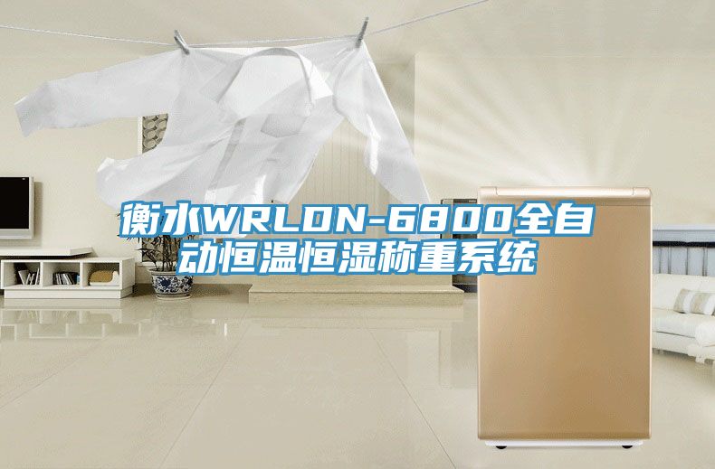 衡水WRLDN-6800全自動(dòng)恒溫恒濕稱(chēng)重系統(tǒng)