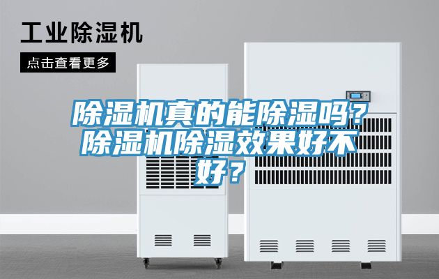 除濕機真的能除濕嗎？除濕機除濕效果好不好？