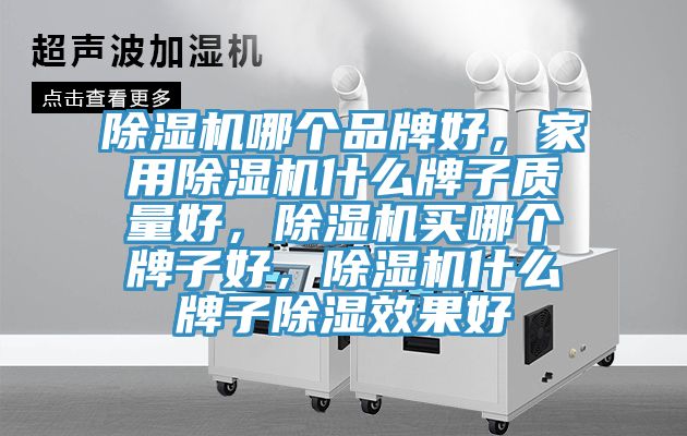 除濕機哪個品牌好，家用除濕機什么牌子質量好，除濕機買哪個牌子好，除濕機什么牌子除濕效果好