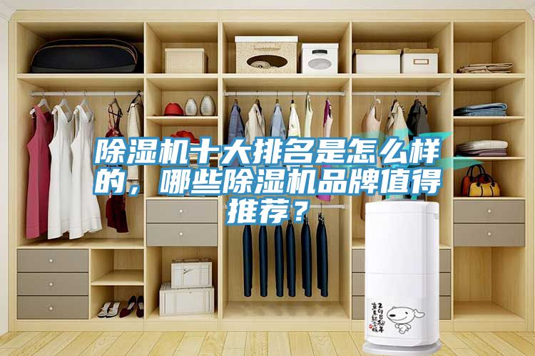除濕機十大排名是怎么樣的,哪些除濕機品牌值得推薦?