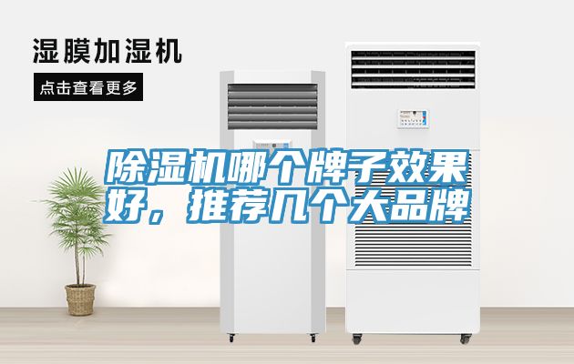 除濕機哪個牌子效果好，推薦幾個大品牌