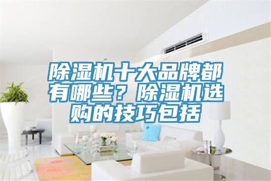 除濕機十大品牌都有哪些?除濕機選購的技巧包括