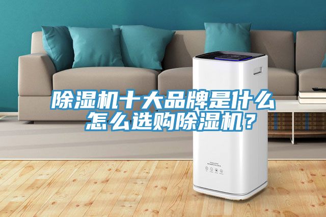 除濕機十大品牌是什么 怎么選購除濕機?