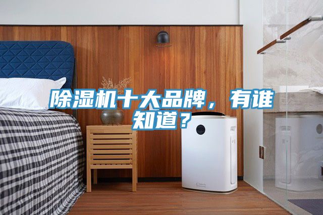 除濕機十大品牌,有誰知道?