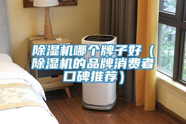 除濕機哪個牌子好(除濕機的品牌消費者口碑推薦)