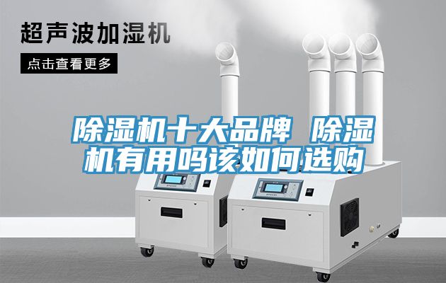 除濕機(jī)十大品牌 除濕機(jī)有用嗎該如何選購