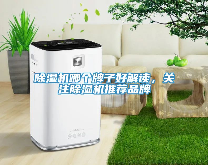 除濕機哪個牌子好解讀,關注除濕機推薦品牌