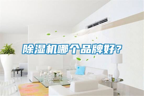 除濕機哪個品牌好？